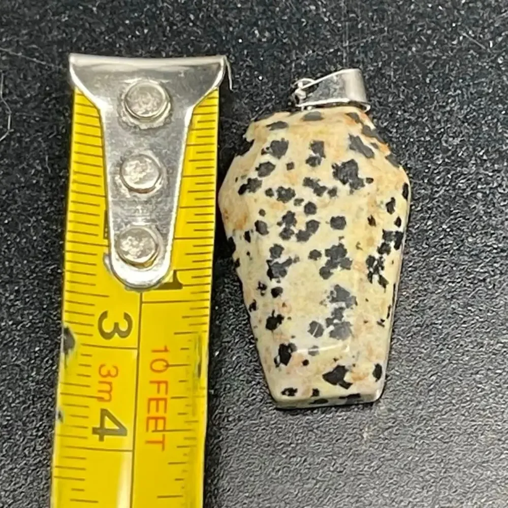Dalmatian Jasper Coffin Carved Natural Stone Pendant 1.5